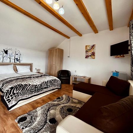 Vila Sofia Hateg Bagian luar foto