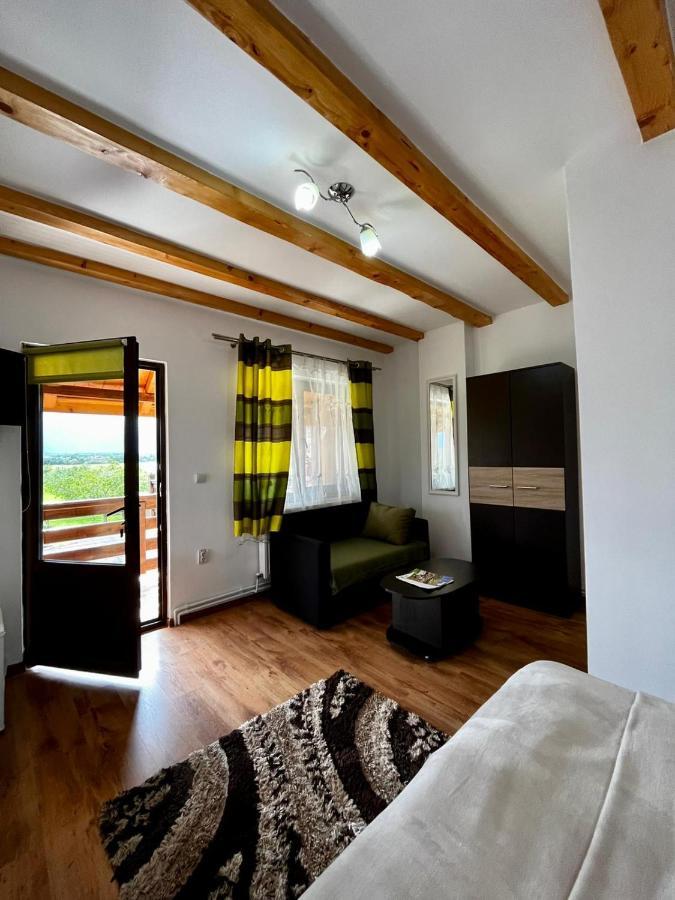 Vila Sofia Hateg Bagian luar foto