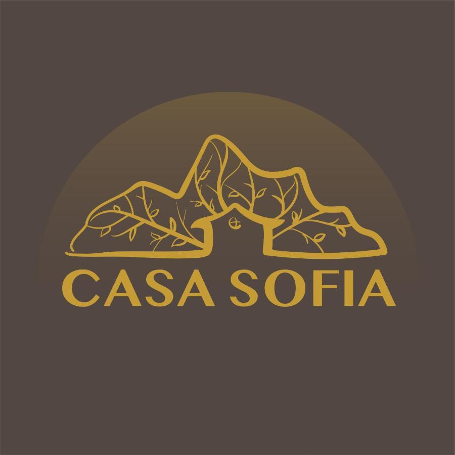 Vila Sofia Hateg Bagian luar foto