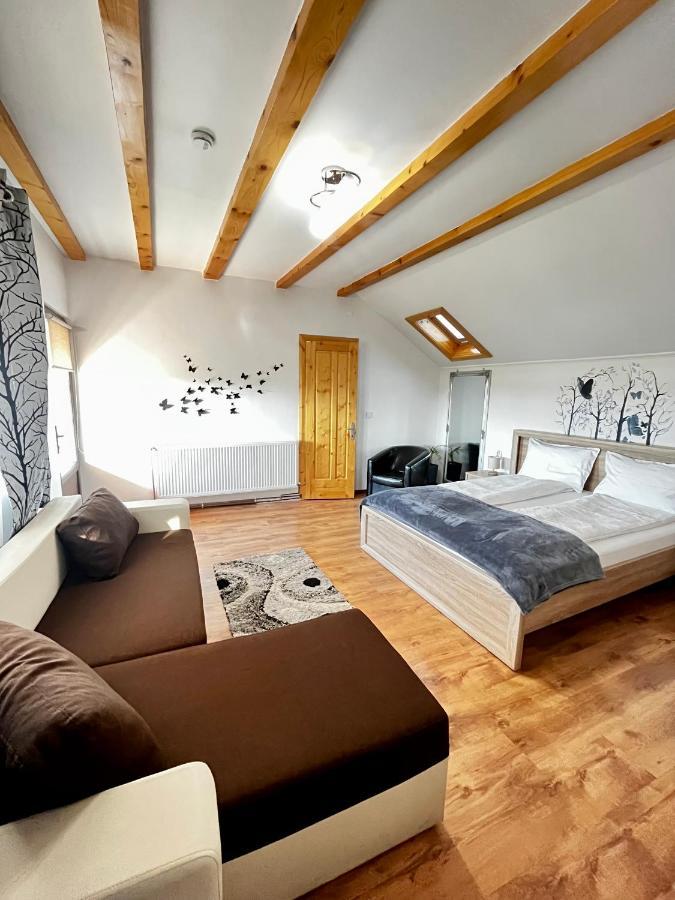 Vila Sofia Hateg Bagian luar foto