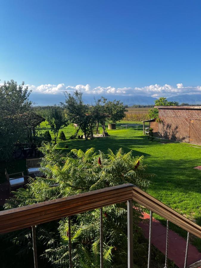 Vila Sofia Hateg Bagian luar foto