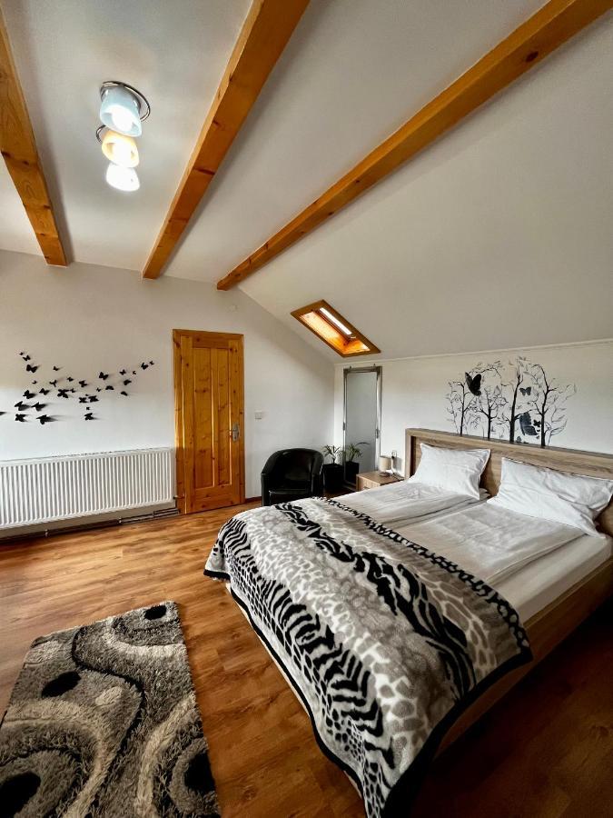 Vila Sofia Hateg Bagian luar foto