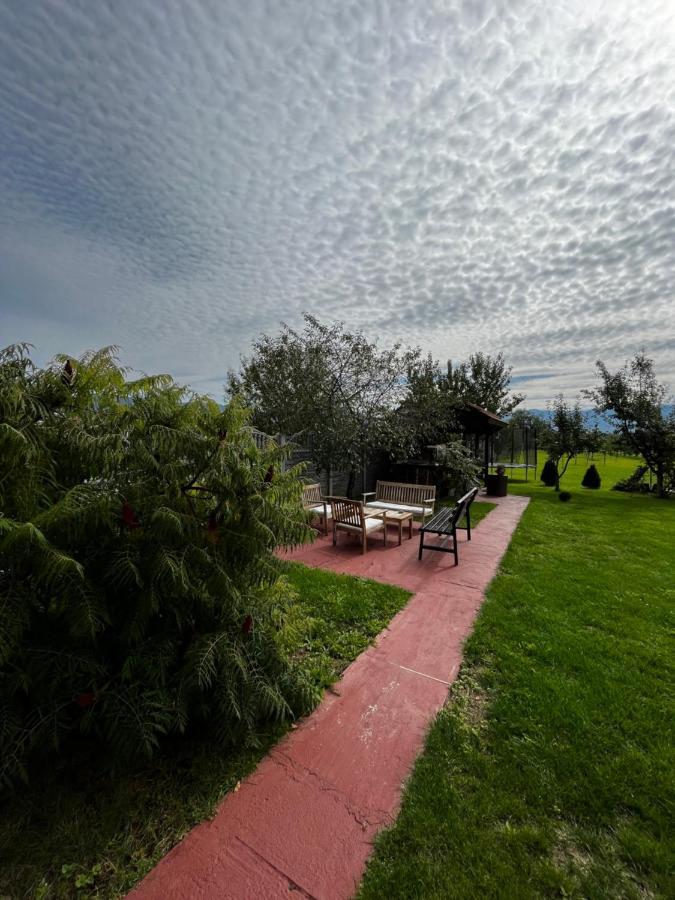 Vila Sofia Hateg Bagian luar foto