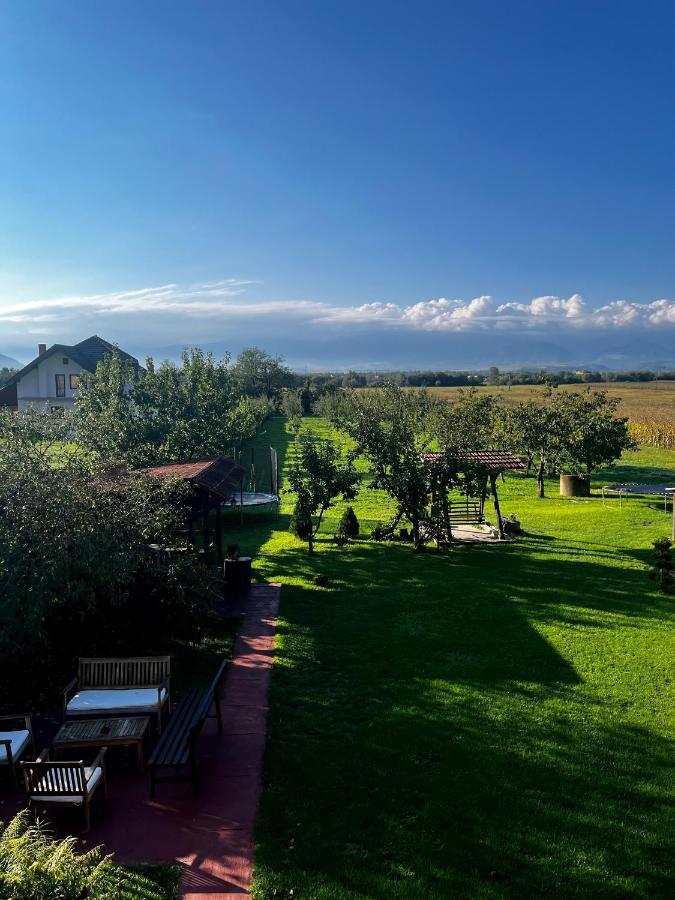 Vila Sofia Hateg Bagian luar foto