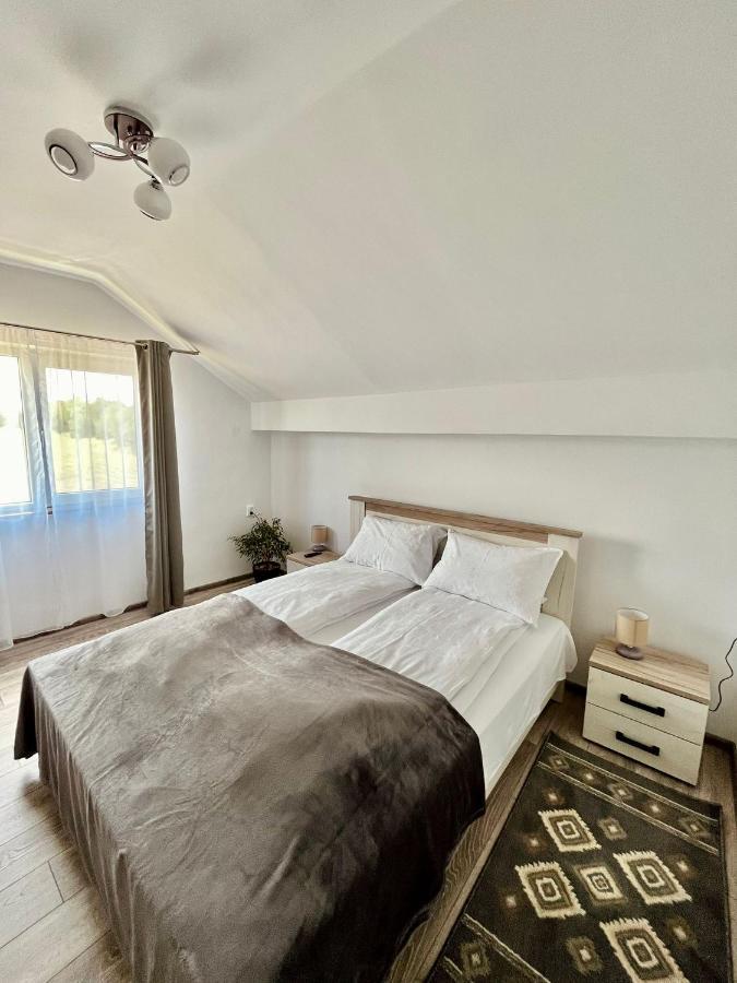 Vila Sofia Hateg Bagian luar foto