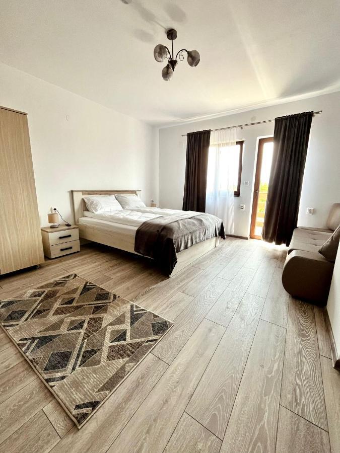 Vila Sofia Hateg Bagian luar foto