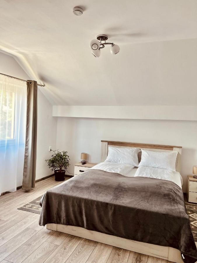 Vila Sofia Hateg Bagian luar foto